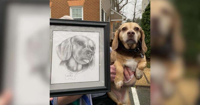 Senior Dog Left at Shelter With Everything She Had — And a Portrait That Broke Hearts