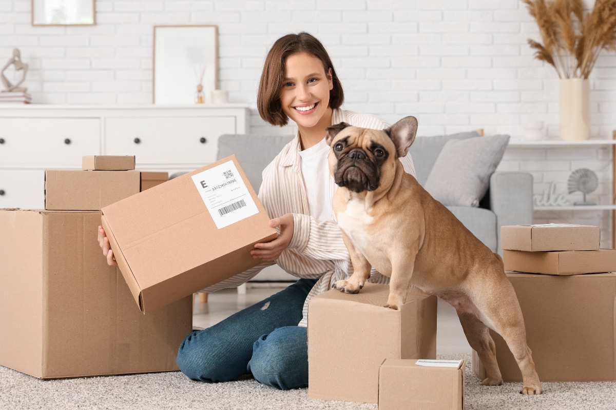 The Best Amazon Dog Deals You Didn’t Know You Needed The Best Amazon Dog Deals You Didn’t Know You Needed