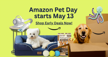 These 31 Early Amazon Pet Day Dog Deals Are Available Right NOW!