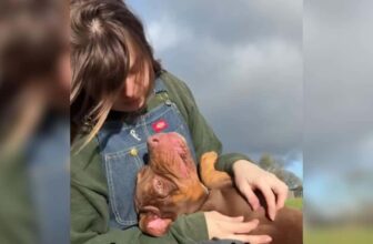 These Rescue Dogs’ Reactions to Kisses Are Pure Sweetness