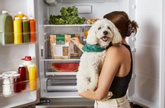 Understanding Picky Eating: How Freshpet Helps Bring Joy Back to Mealtime