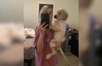 Who Else Is Melting Over This Puppy’s Little Butt?