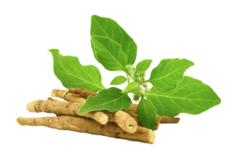 Why Ashwagandha Always Ranks in the Top 4 Most Popular Adaptogens for Pet Stress