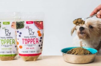 Why Happy, Healthy Topper Is The Ultimate Superfood For Senior Dogs