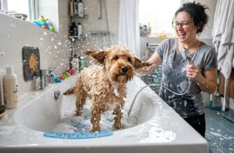 17 Dog Bath-Time Helpers for Dogs Who Hate Baths