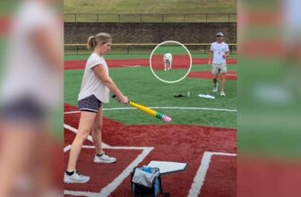 Athletic Dog Makes A Catch So Good, People Want Him In The Big Leagues