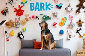 Bark’s Dog-Friendly Office Is A Pup Parent’s Dream!