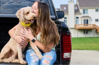 Best Invisible Fence for Dogs: Underground vs Wireless Dog Fences
