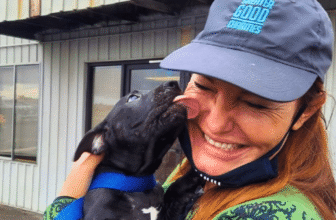 Celebrating 20 Years Of Greater Good Charities & Its Life-Saving Partnership With iHeartDogs