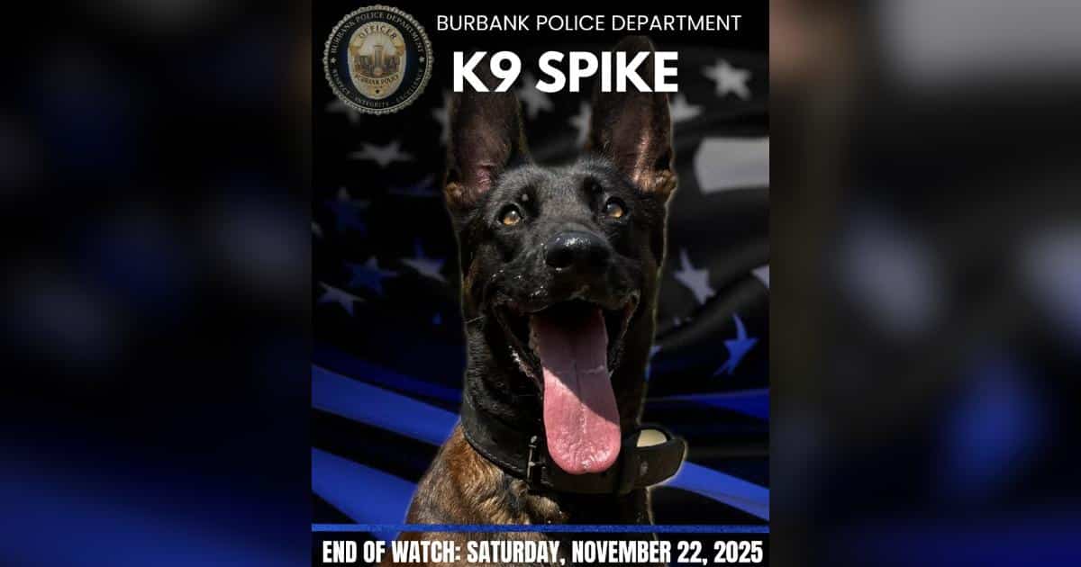 Department Honors K9 Spike After He Gave His Life in the Line of Duty Department Honors K9 Spike After He Gave His Life in the Line of Duty