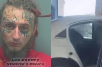 Florida Man Learns His Fate After Brutal Dog Beating Is Caught On Video