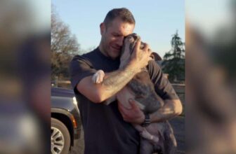 Heartworm Positive, But Headed for Hope: A Rescue Day to Remember