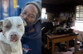 Hero Runs Into Burning Animal Shelter To Rescue Trapped Dogs And Cats