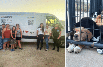 Hero VIP Members Made This Iowa Rescue Road Trip Possible for 25 Dogs in Need