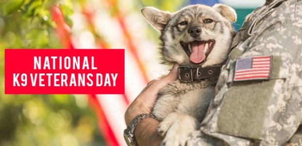 Honoring Military Working Dogs on this K9 Veterans Day