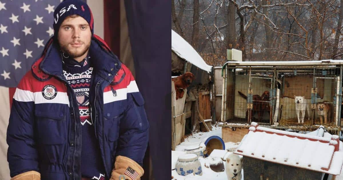 Olympian Becomes Hero After Rescuing 90 Dogs From Dog Meat Farm Olympian Becomes Hero After Rescuing 90 Dogs From Dog Meat Farm
