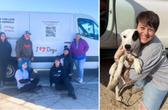 Our Hero VIP Members Made This Colorado Rescue Road Trip Possible for 8 Deserving Dogs