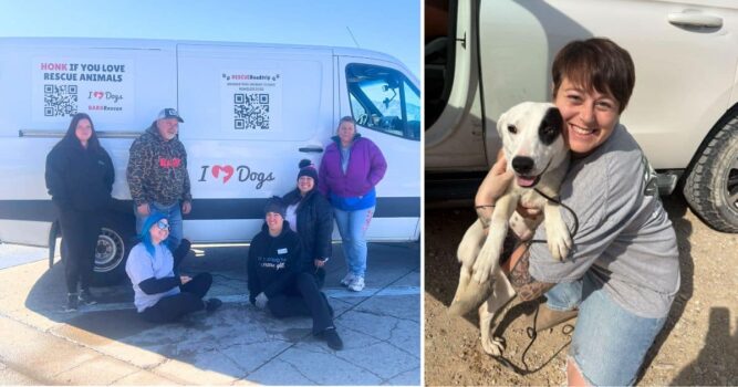 Our Hero VIP Members Made This Colorado Rescue Road Trip Possible for 8 Deserving Dogs
