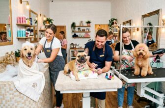 “Science” Announces The Most ‘Attractive’ Dog Breeds For 2026