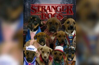 Shelter Dresses Puppies as Stranger Things Characters to Boost Adoptions