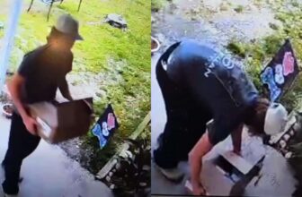 Shelter Needs Help Identifying Man Who Left Newborn Puppies Outside In the Cold