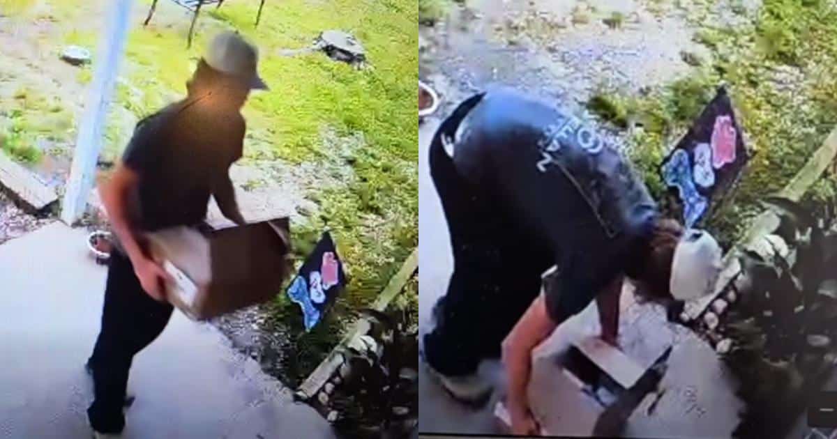 Shelter Needs Help Identifying Man Who Left Newborn Puppies Outside In the Cold Shelter Needs Help Identifying Man Who Left Newborn Puppies Outside In the Cold