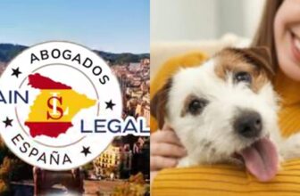 Spain Declares Pets Family Members Under New Law
