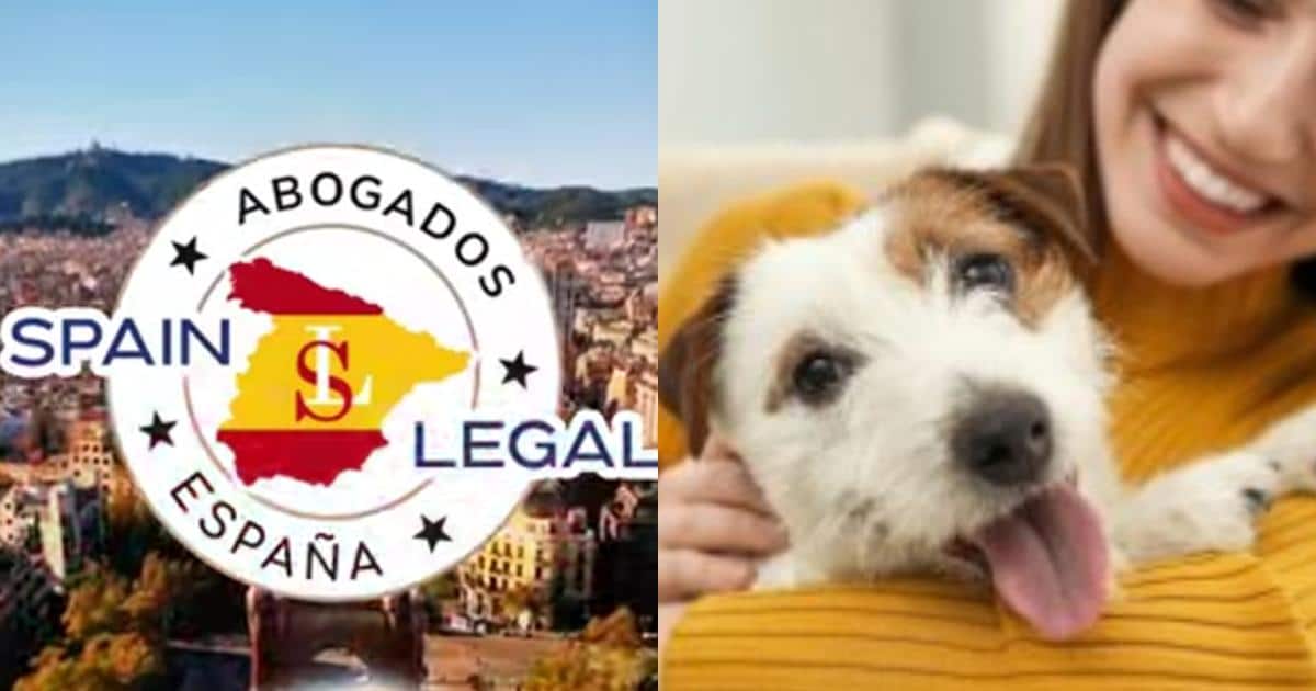 Spain Declares Pets Family Members Under New Law