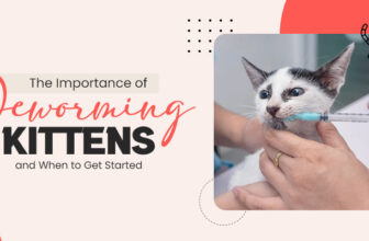 The Importance of Deworming Kittens and When to Get Started