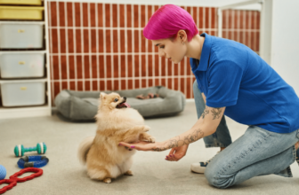 Want A Better-Behaved Dog? Check Out PetSmart’s 6-Week Training Specials