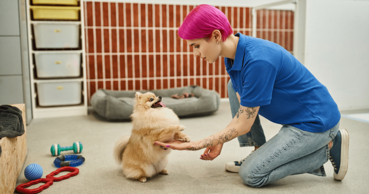 Want A Better-Behaved Dog? Check Out PetSmart’s 6-Week Training Specials Want A Better-Behaved Dog? Check Out PetSmart’s 6-Week Training Specials