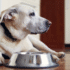 Ligament Injuries in Dogs | Animal Wellness Magazine