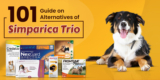 101 Guide on Alternatives of Simparica Trio