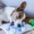The 10 Best Flea & Tick Treatments For Dogs