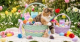 21 Easter Cat Gifts for Stuffing the Purrfect Basket
