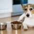 9 Best Eco-Friendly and Sustainable Dog Foods 2026