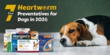 7 Best Heartworm Preventatives for Dogs in 2026