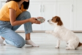 7 Best Prebiotics for Dogs [2026]