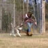 Dog Is Put Into Inmate’s Jail Cell, Inmate Sees The Dog And Swiftly Grabs Him