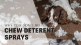 Anti-Chew Sprays For Puppies: Why Professionals Don’t Recommend Them.