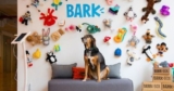 Bark’s Dog-Friendly Office Is A Pup Parent’s Dream!