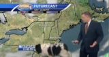 Big Floofy Dog Wanders Into Live Weather Broadcast And Steals The Spotlight