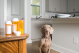 Buprenorphine Coupon for Pets [2026]