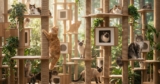 Check Out Top-Rated Cat Trees