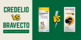 Credelio vs. Bravecto – Which One to Choose for Your Dog?