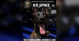Department Honors K9 Spike After He Gave His Life in the Line of Duty