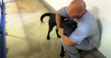 Dog Is Put Into Inmate’s Jail Cell, Inmate Sees The Dog And Swiftly Grabs Him