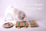Don’t Walk Your Dog Day