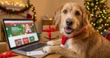 Early Cyber Monday Dog Deals You Don’t Want to Miss