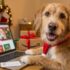 10 Best Gifts for Dogs Lovers Under $15